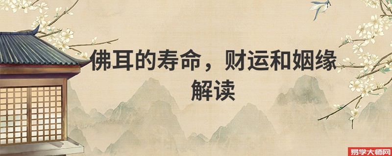 佛耳的寿命,财运和姻缘解读