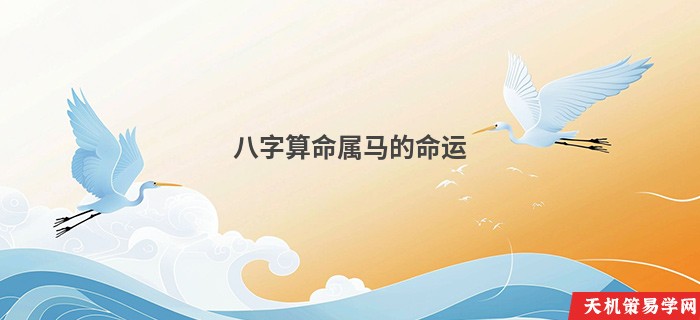 八字算命属马的命运