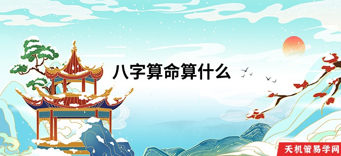 八字算命算什么