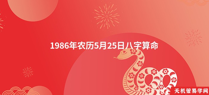 1986年农历5月25日八字算命