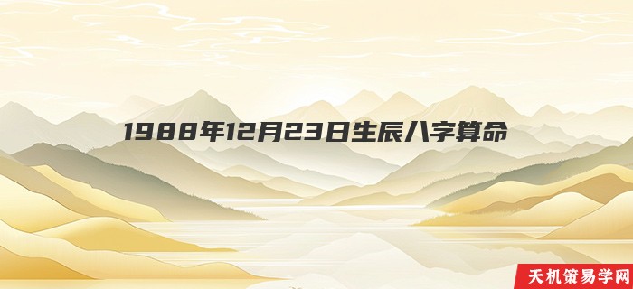 1988年12月23日生辰八字算命
