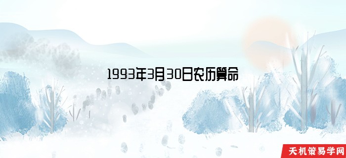 1993年3月30日农历算命