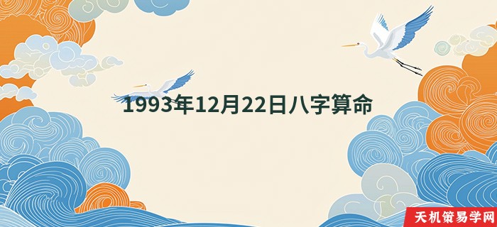 1993年12月22日八字算命