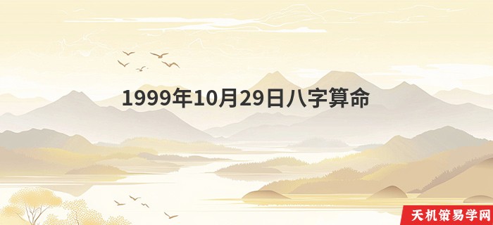 1999年10月29日八字算命