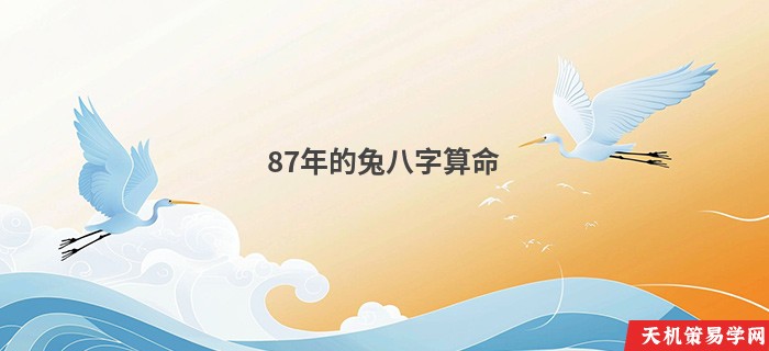 87年的兔八字算命