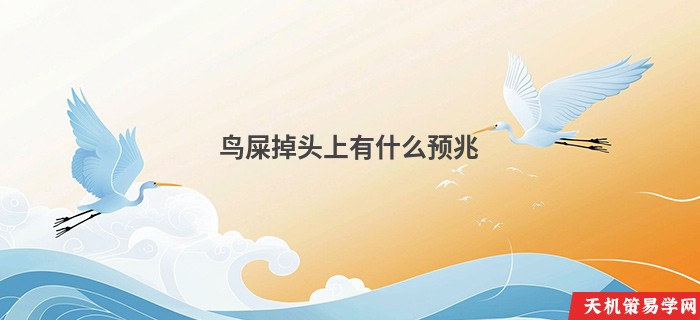 鸟屎掉头上有什么预兆
