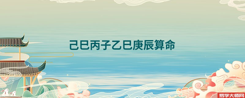 己巳丙子乙巳庚辰算命