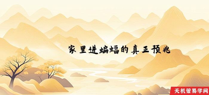 家里进蝙蝠的真正预兆