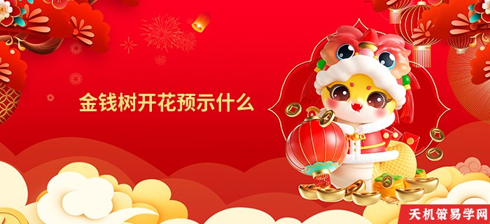 金钱树开花预示什么