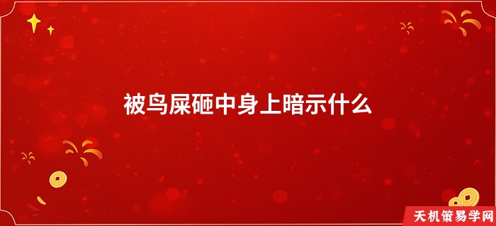被鸟屎砸中身上暗示什么