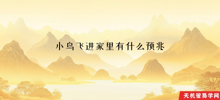小鸟飞进家里有什么预兆