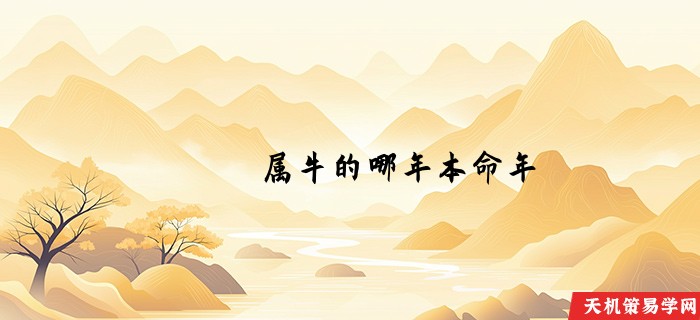 属牛的哪年本命年