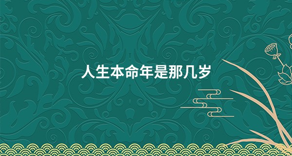 人生本命年是那几岁