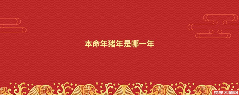 本命年猪年是哪一年