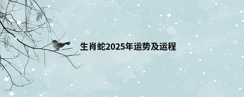 生肖蛇2025年运势及运程
