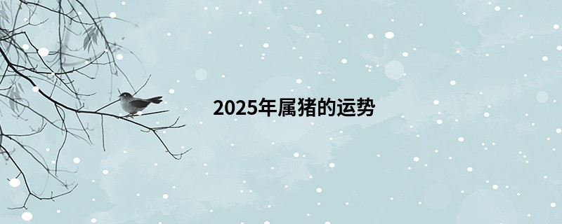 2025年属猪的运势