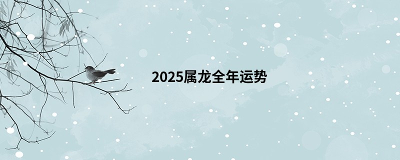2025属龙全年运势