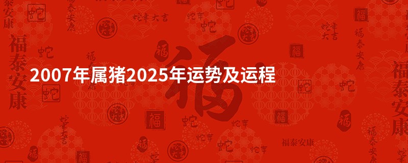 2007年属猪2025年运势及运程