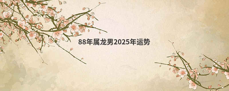 88年属龙男2025年运势