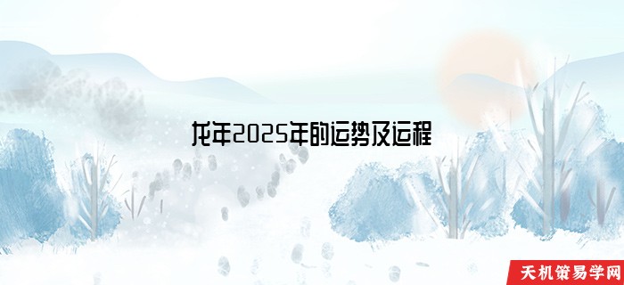 龙年2025年的运势及运程