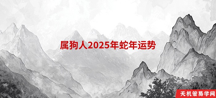 属狗人2025年蛇年运势