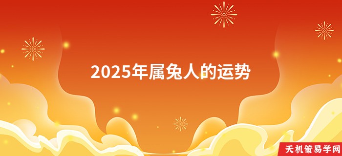 2025年属兔人的运势
