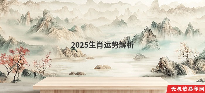 2025生肖运势解析
