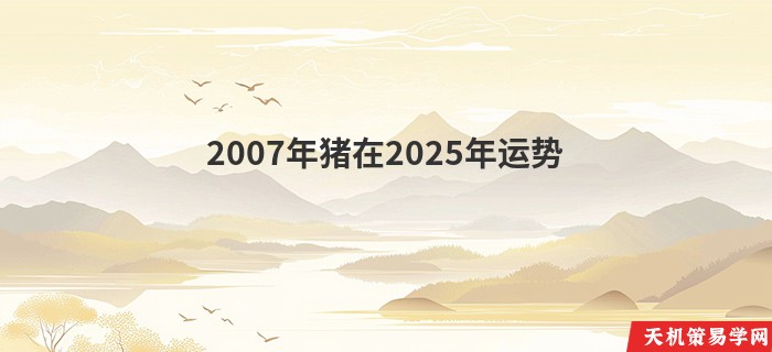 2007年猪在2025年运势