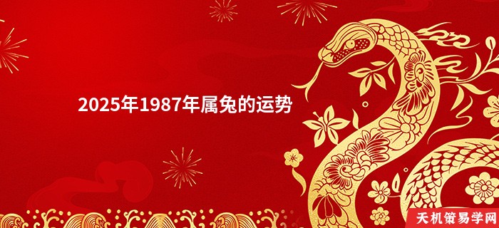 2025年1987年属兔的运势