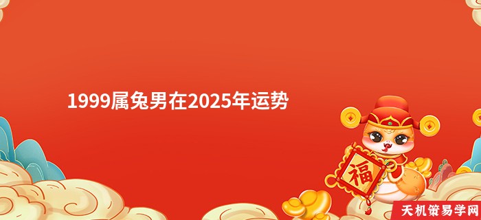 1999属兔男在2025年运势