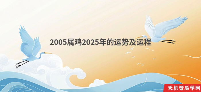 2005属鸡2025年的运势及运程