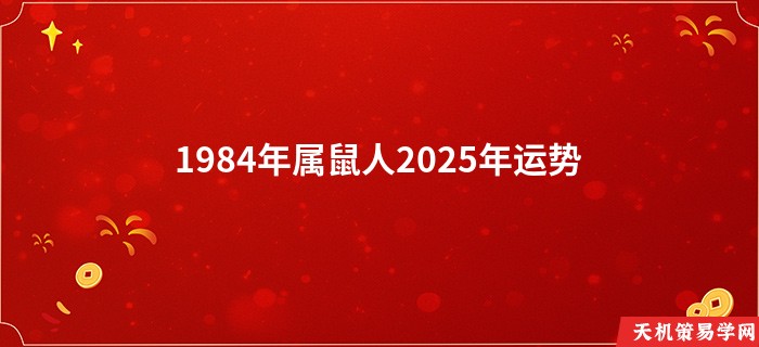 1984年属鼠人2025年运势