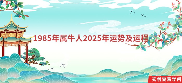 1985年属牛人2025年运势及运程