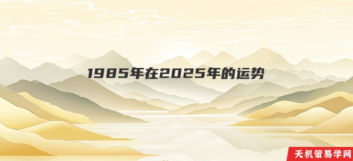 1985年在2025年的运势