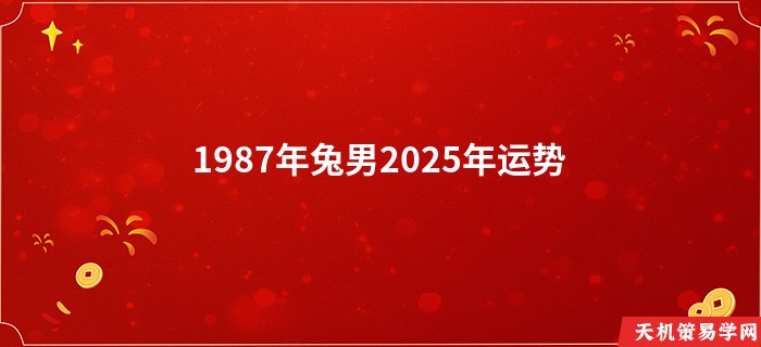 1987年兔男2025年运势