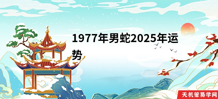 1977年男蛇2025年运势