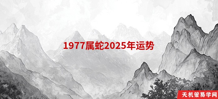 1977属蛇2025年运势