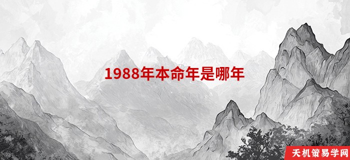 1988年本命年是哪年