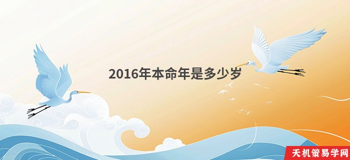 2016年本命年是多少岁