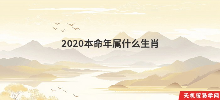 2020本命年属什么生肖