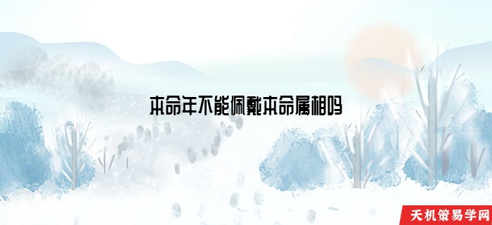 本命年不能佩戴本命属相吗