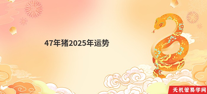47年猪2025年运势
