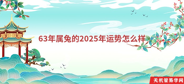 63年属兔的2025年运势怎么样