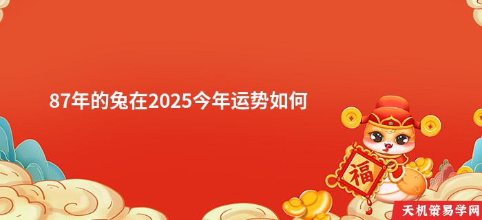 87年的兔在2025今年运势如何