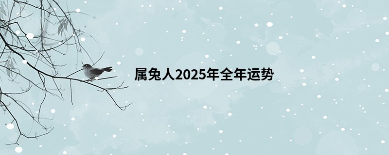 属兔人2025年全年运势