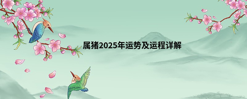 属猪2025年运势及运程详解