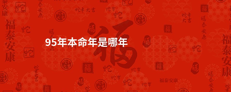 95年本命年是哪年
