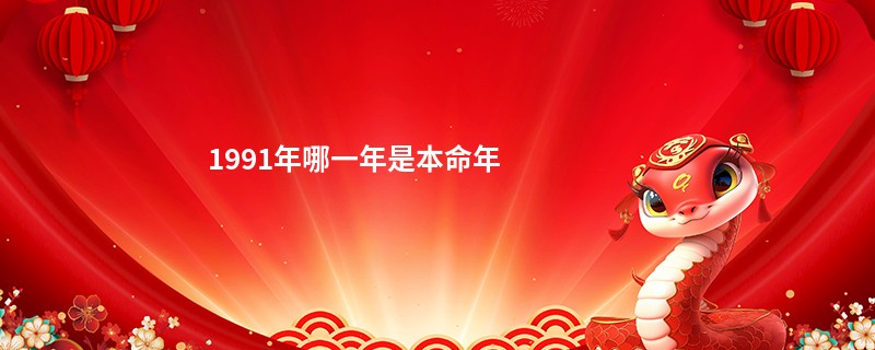 1991年哪一年是本命年