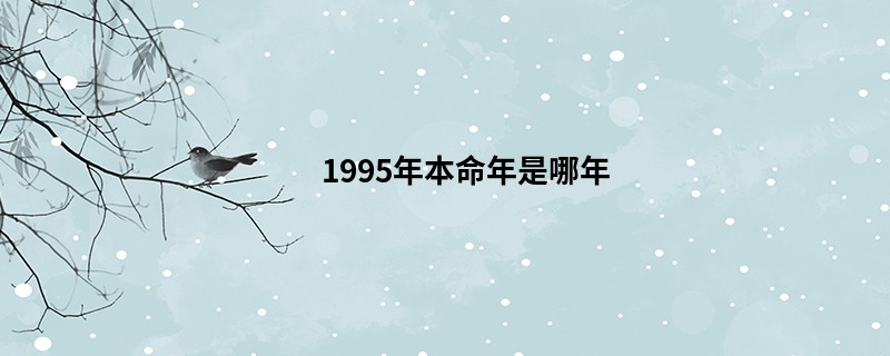 1995年本命年是哪年