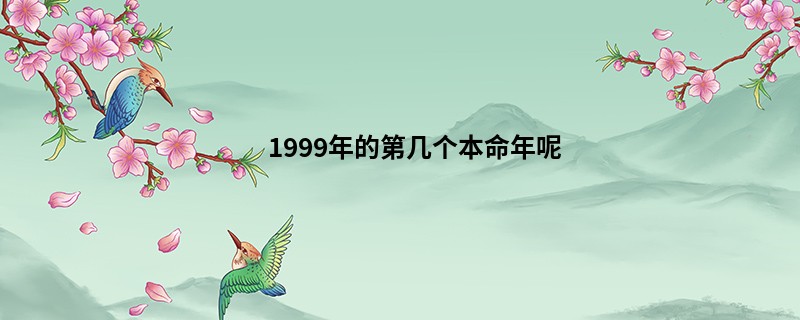 1999年的第几个本命年呢